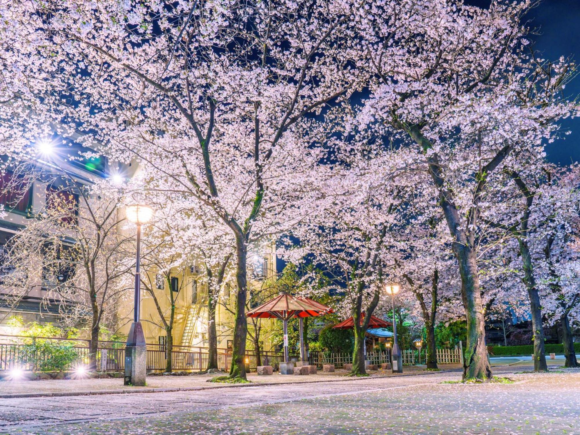 The Blossom Kyoto Exterior photo
